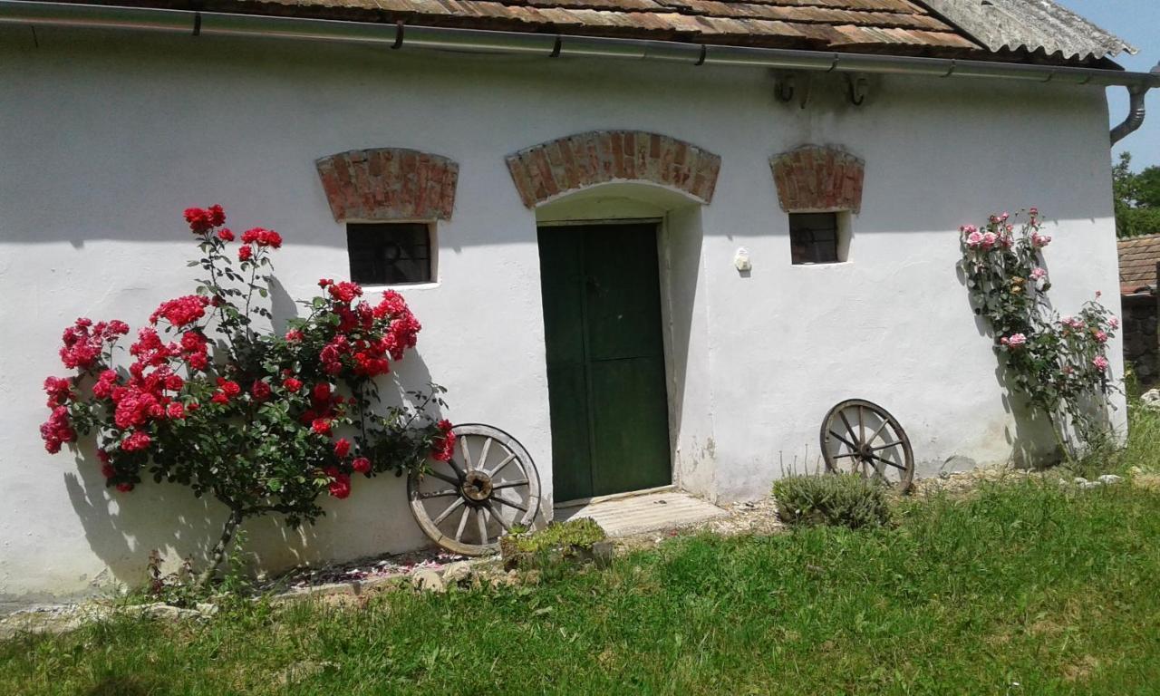 Gasthaus Aranyodi Piheno Zalaszentgrót Exterior foto